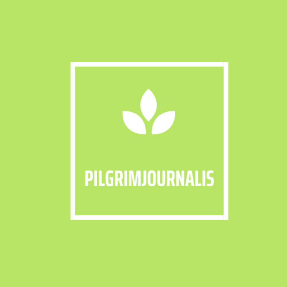 Ppa.pilgrimjournalist.com